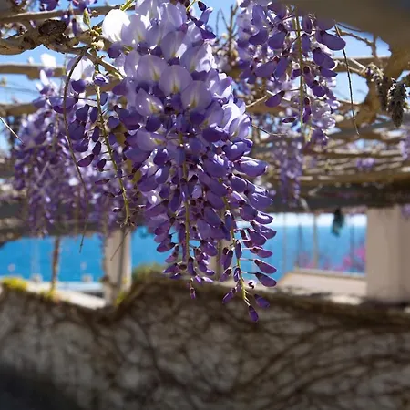 Casa Botte * Andrano